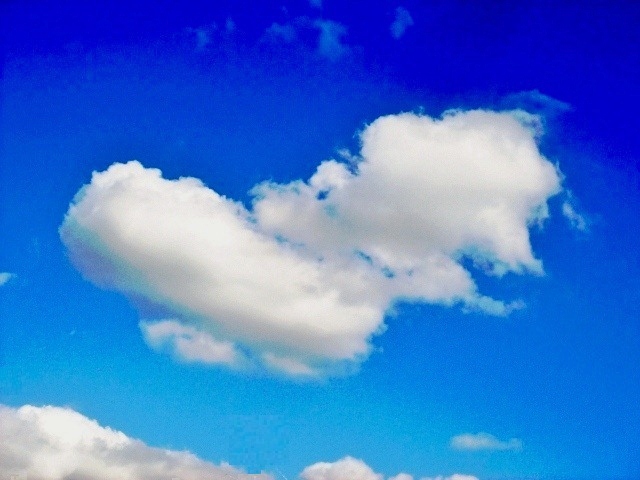 雲