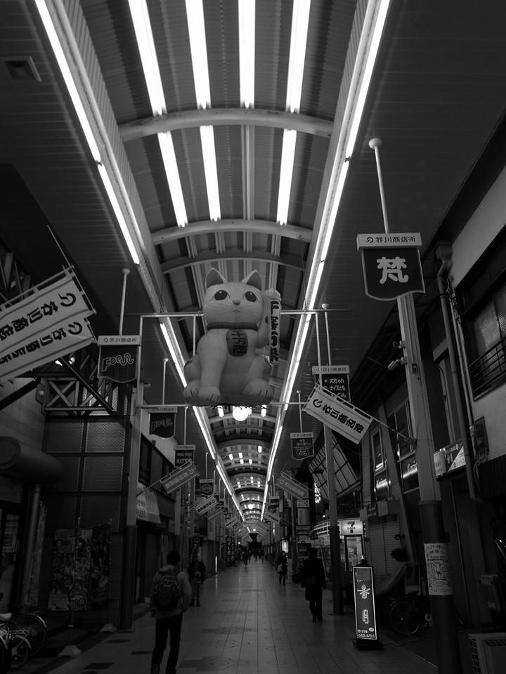 yakei-takatsuki