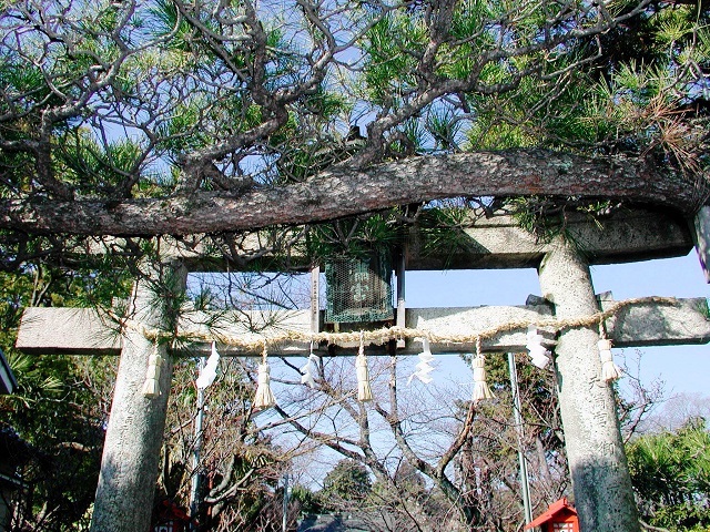 茨木市街にて