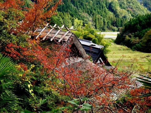 わらぶき屋根がある風景