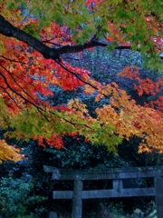 sansyoku