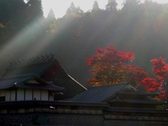 asahi