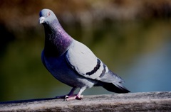 耳原公園にて