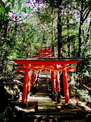鳥居