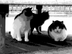 neko