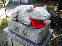 茨木市街にて