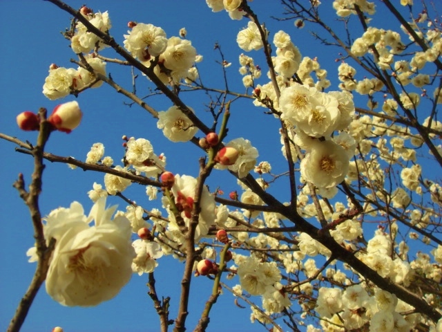 耳原公園にて