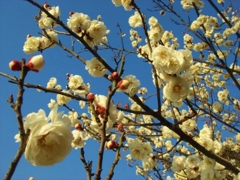 耳原公園にて