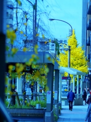 京都駅前にて