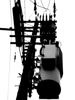 IMGP9610