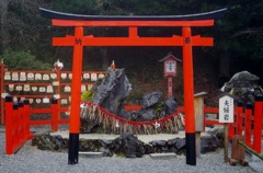 出雲大神宮　夫婦岩　