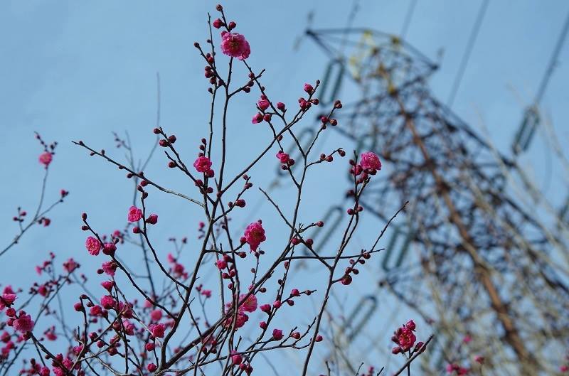 Ｍ公園にて003