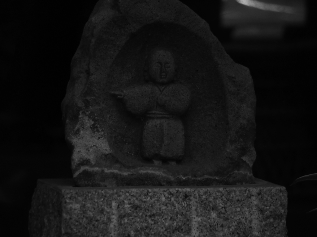 IMGP0197