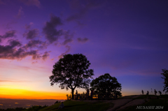 若草山夕景2015 ⑤