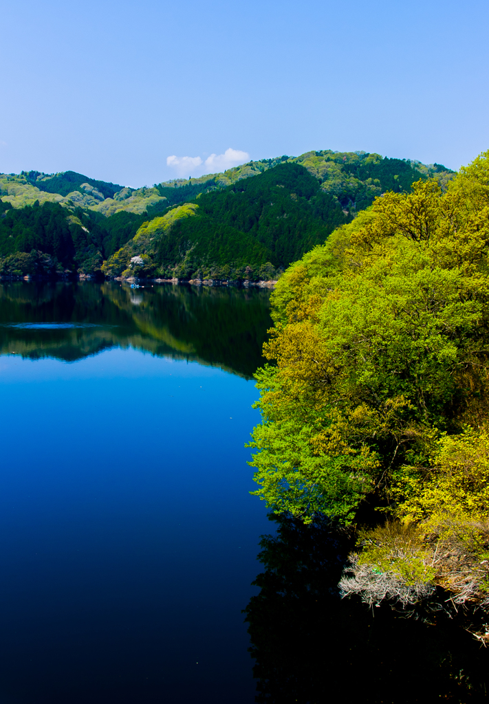 紺碧の水面