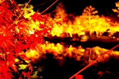 紅葉