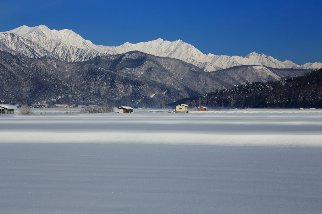 雪原