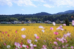 豊饒の秋