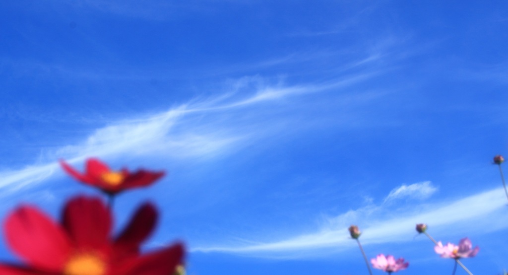 秋の空