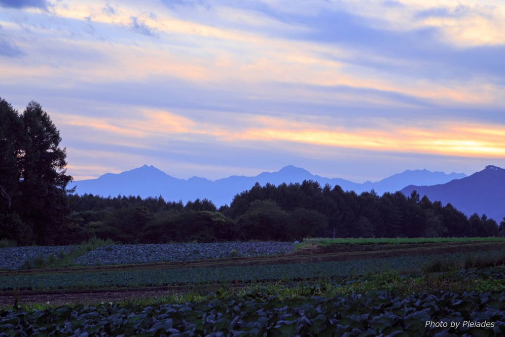夕暮れの高原