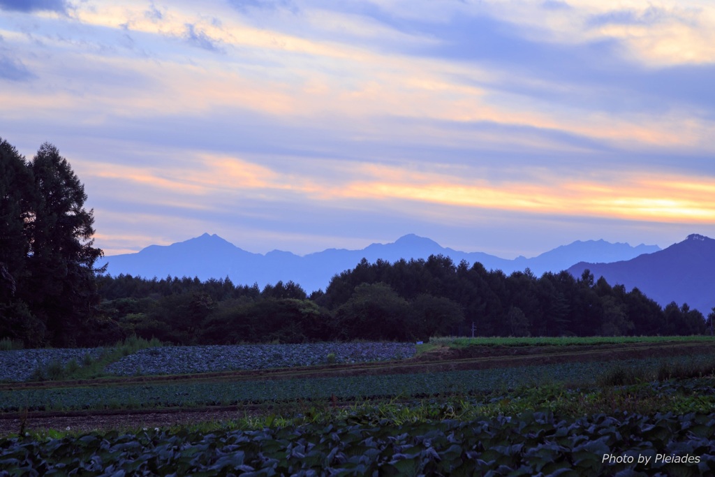 夕暮れの高原