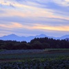 夕暮れの高原