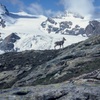 中年登山隊のスイスアルプス風雪流れ旅１９