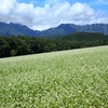秋蕎麦と戸隠の山