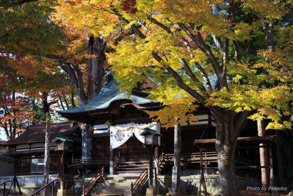 ある神社の紅葉