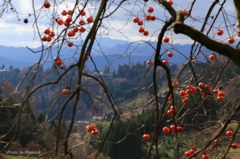 柿の簾越しに見た山里風景