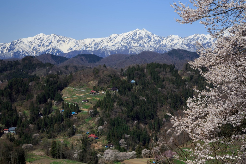 山里の春