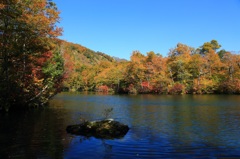 鎌池の紅葉