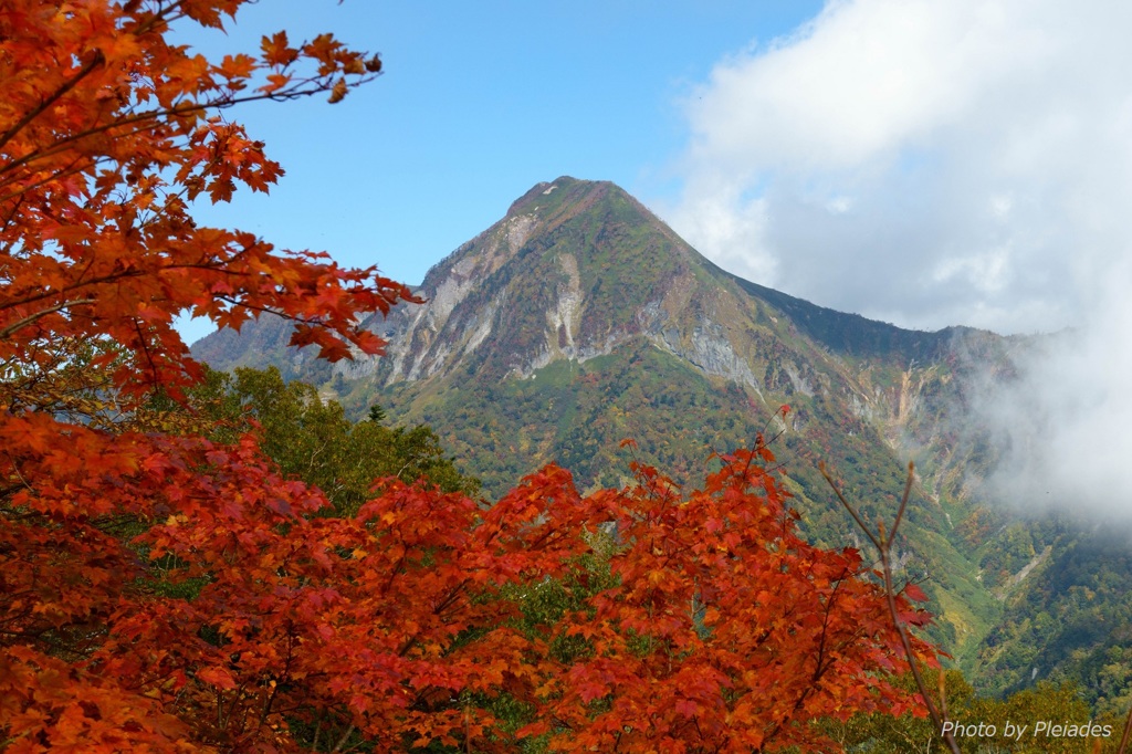 山は秋