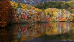 ２０１６　鏡池の紅葉２