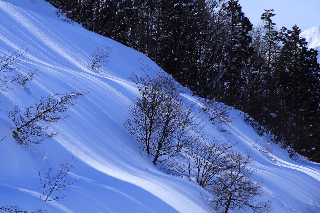 雪面の光と影