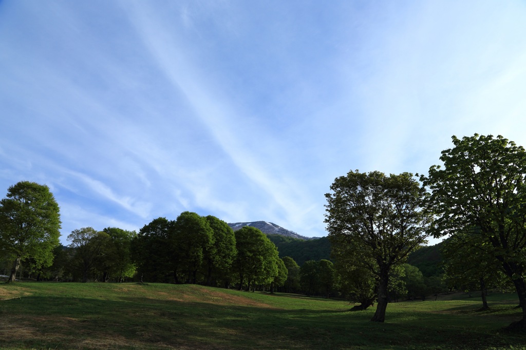 高原の朝