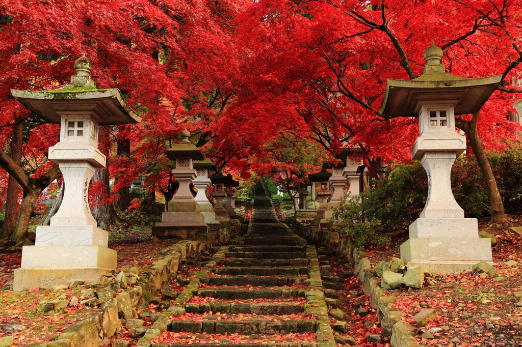 清水寺の紅葉２