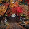  ２０１５　清水寺(ｾｲｽｲｼﾞ)の紅葉３