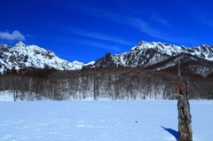 鏡池の上から