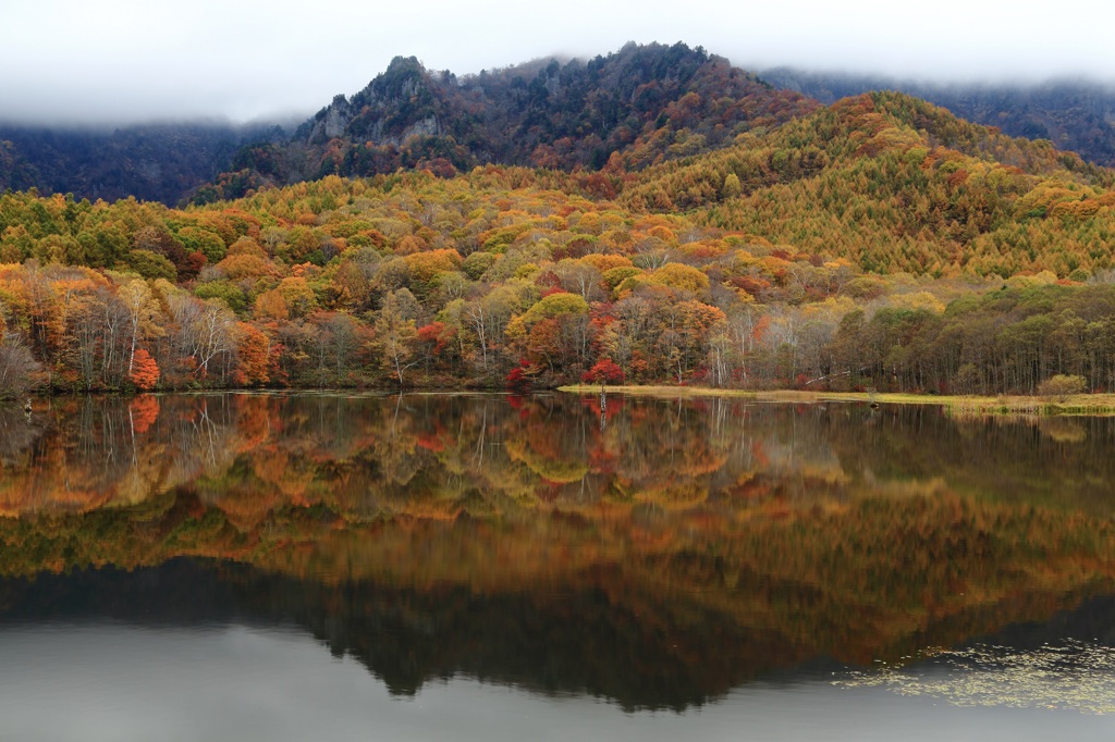 紅葉の鏡池２０１４　　１