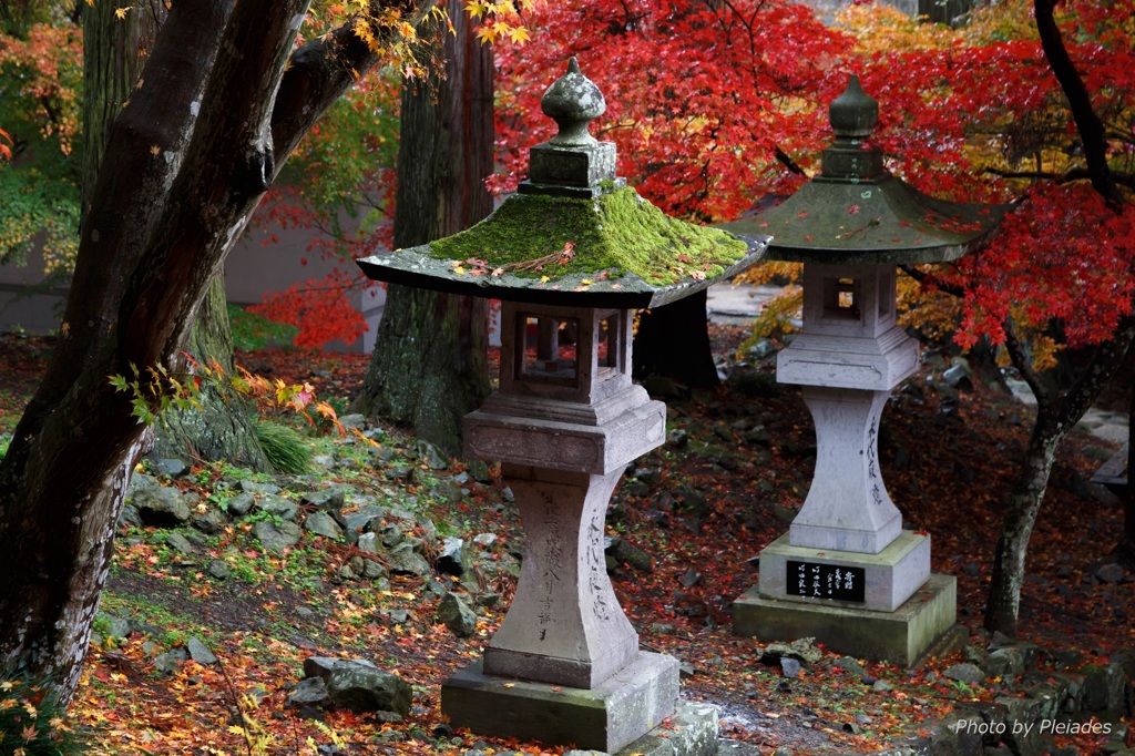 ２０１５　清水寺(ｾｲｽｲｼﾞ)の紅葉２