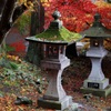 ２０１５　清水寺(ｾｲｽｲｼﾞ)の紅葉２