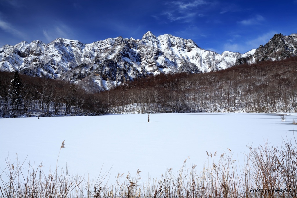 雪の鏡池