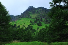 浅間山３　天然の唐松林が広がるカルデラから第一外輪山を望む。
