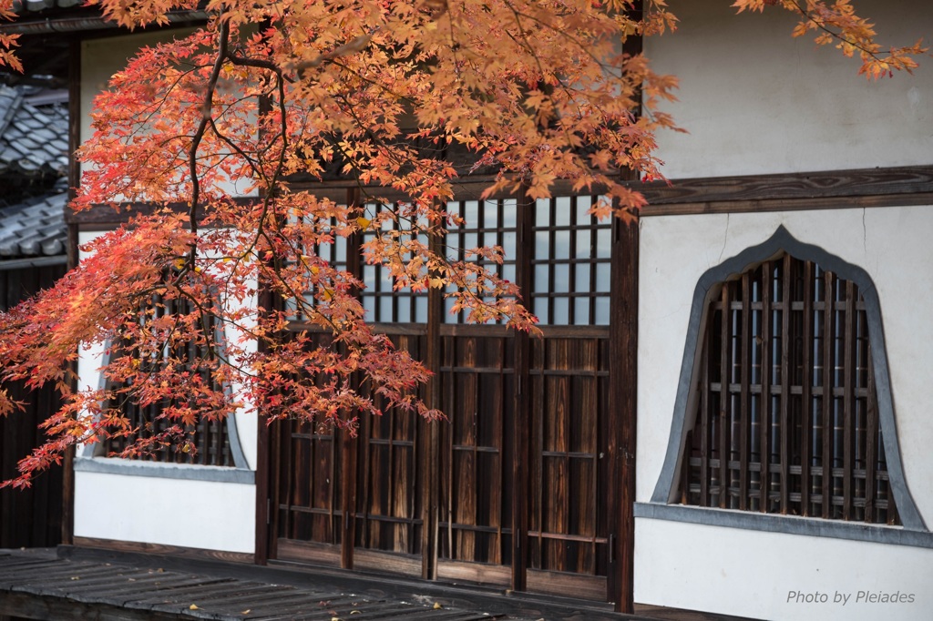 晩秋の古寺