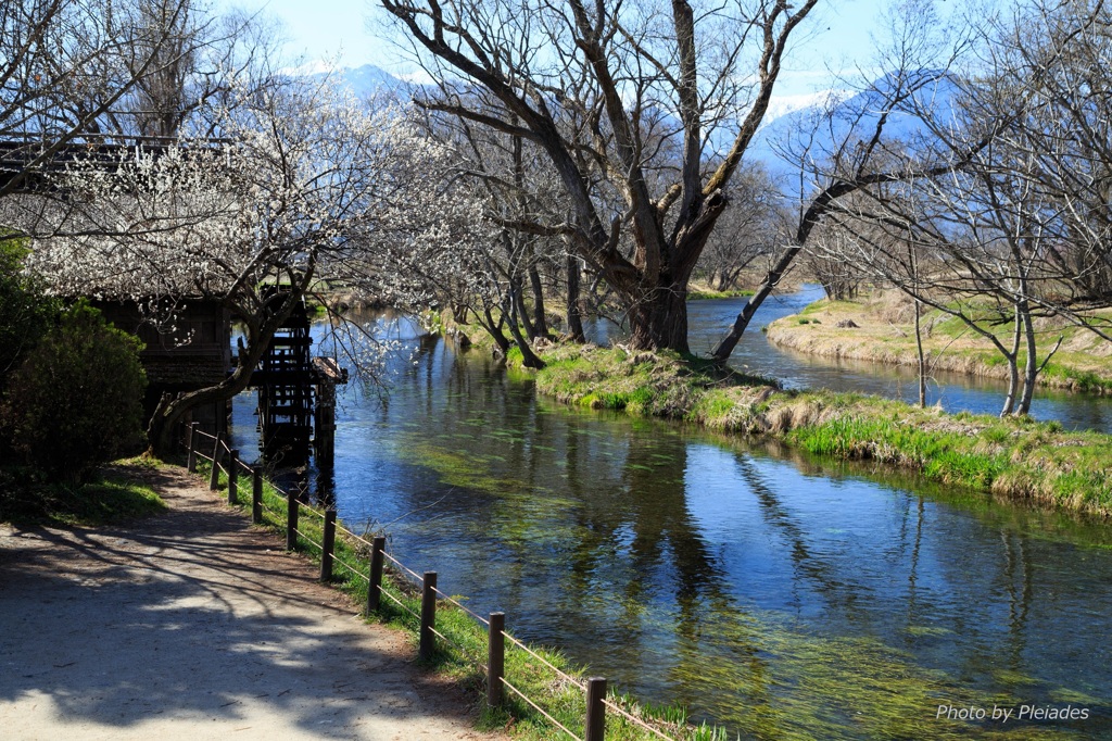 春まだ浅き安曇野１