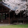 一ひら、またひとひら・・・