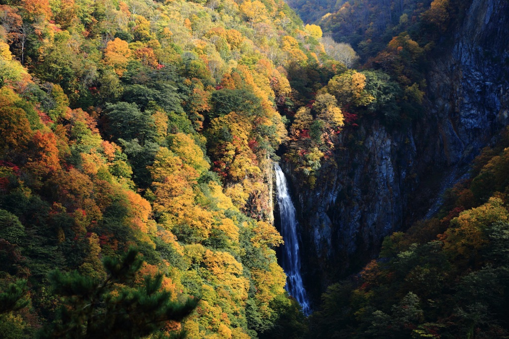 澗満滝の紅葉（志賀）