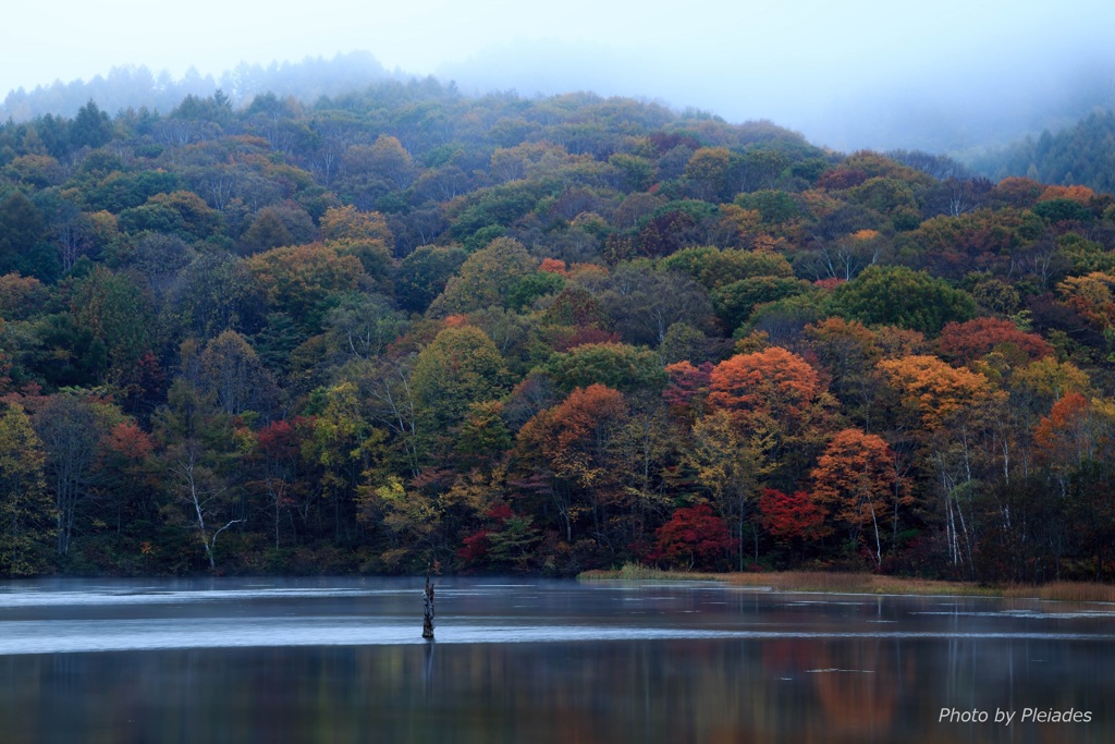 ２０１６　鏡池の紅葉５