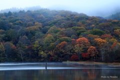 ２０１６　鏡池の紅葉５